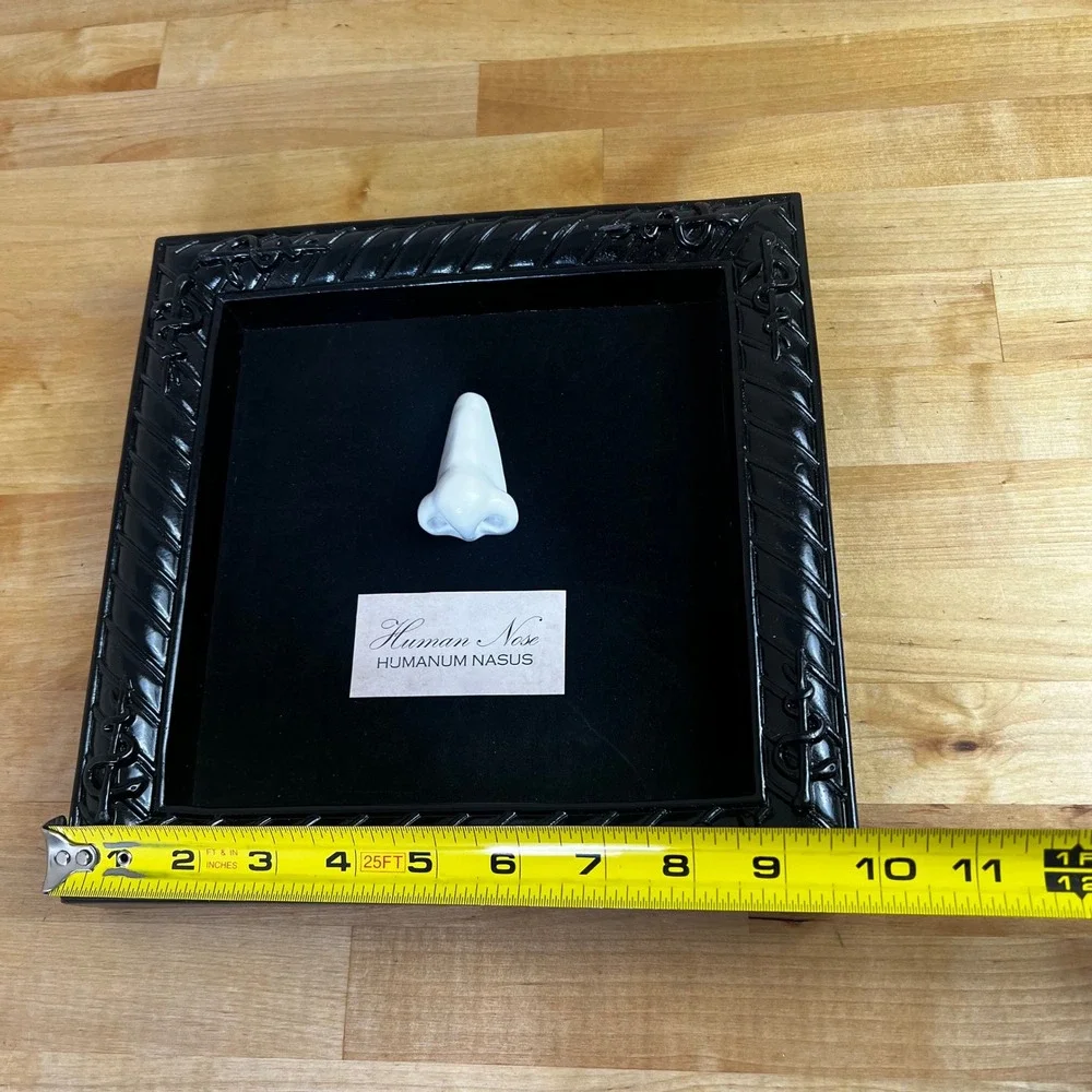 Metal Framed Human Nose‎ Lab Specimen Halloween Square Wall Decor Seasons USA